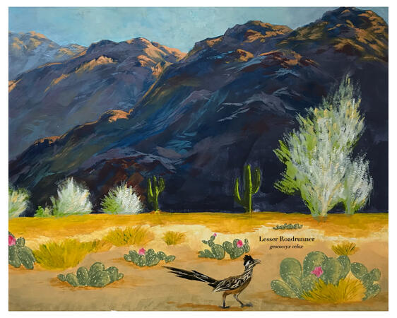 Lesser Roadrunner Ornithology Poster