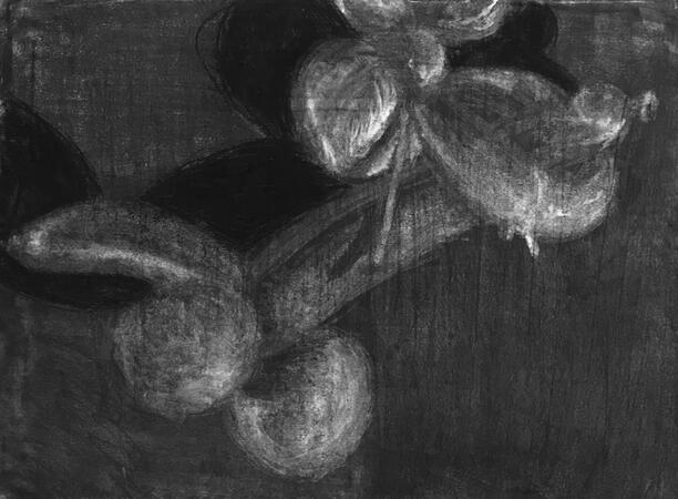 Balloon Animal Value Study