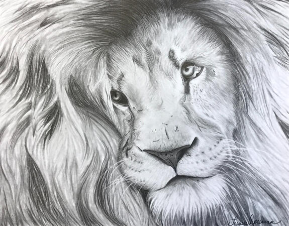 African Lion